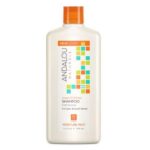 Andalou Naturals Argan Oil and Shea Shampoo, 11.5 Oz
