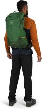 osprey stratos 24l mens hiking backpack cetacean blue image