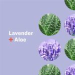 Everyone Lavender & Aloe Nourishing Lotion