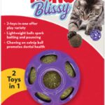 KONG Blissy Moon Ball Cat Toy with Catnip Bissy