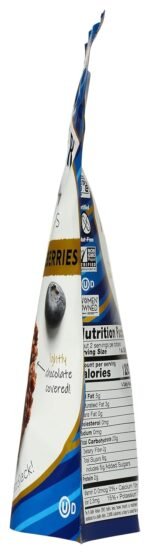 Undercover Dark Chocolate Blueberry Quinoa Snack