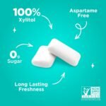 PUR Wintergreen Gum Aspartame