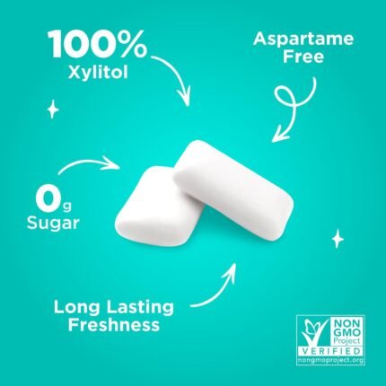PUR Wintergreen Gum Aspartame