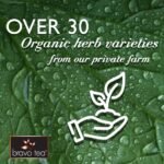 Over 30 Organic herb varieties