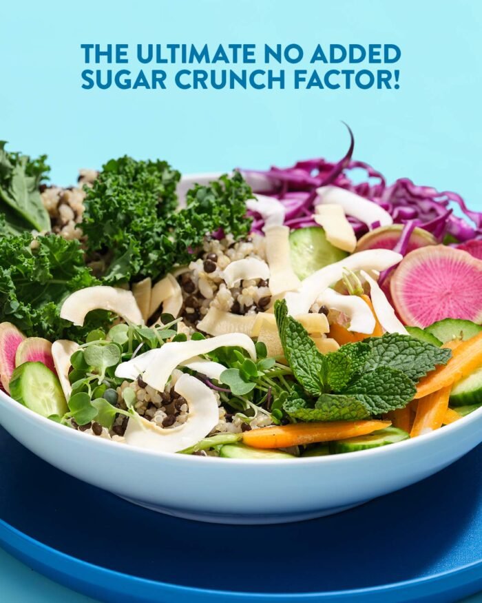 Dang Keto Toasted Coconut Chips, Lightly Salted