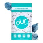 PUR Wintergreen Gum – 60 Pieces