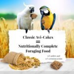 Lafeber Avi-Cakes Macaw & Cockatoo Treat