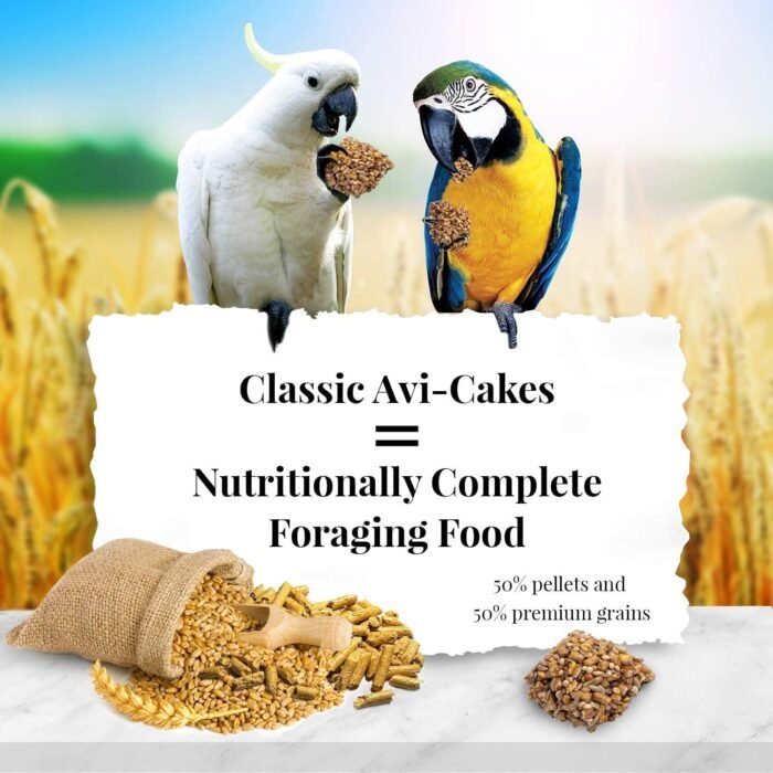 Lafeber Avi-Cakes Macaw & Cockatoo Treat