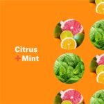Everyone Nourishing Hand & Body Lotion citrus Mint