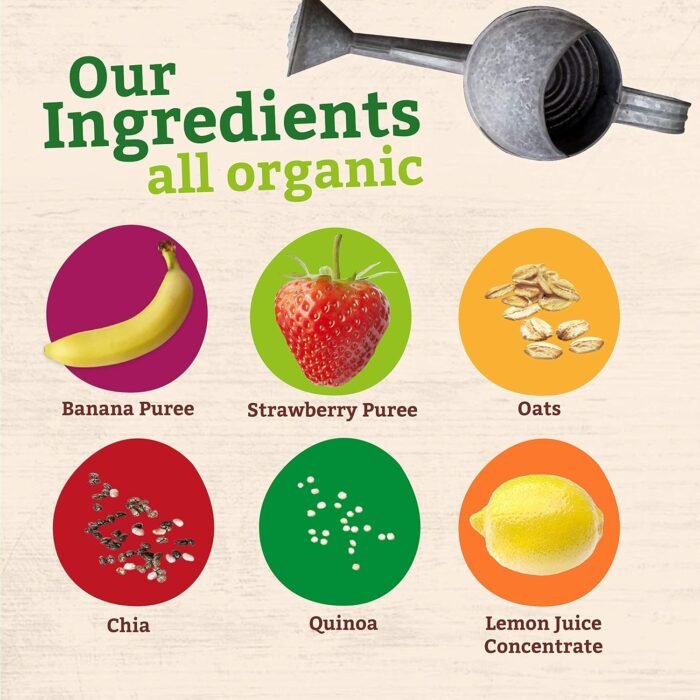 pumpkin tree banana strawberry super oats image