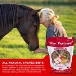 Mrs. Pastures Horse Treats original