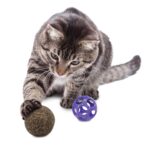 KONG Blissy Moon Ball Cat Toy with Catnip