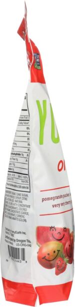 yum earth lollipops family size pack