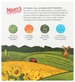 marys gone original crackers