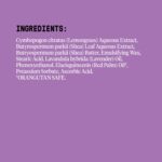 alaffia every day shea body lotion lavender