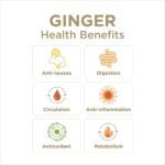 the ginger people organic ginger juice