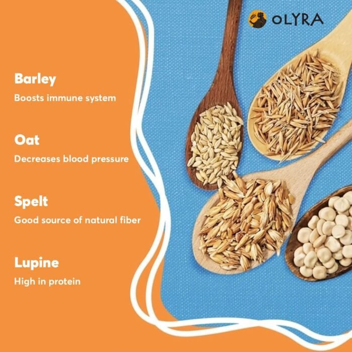 olyra organic breakfast biscuits hazelnut carob pack
