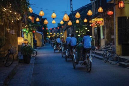 snapdragon mushroom vietnamese pho soup bowl