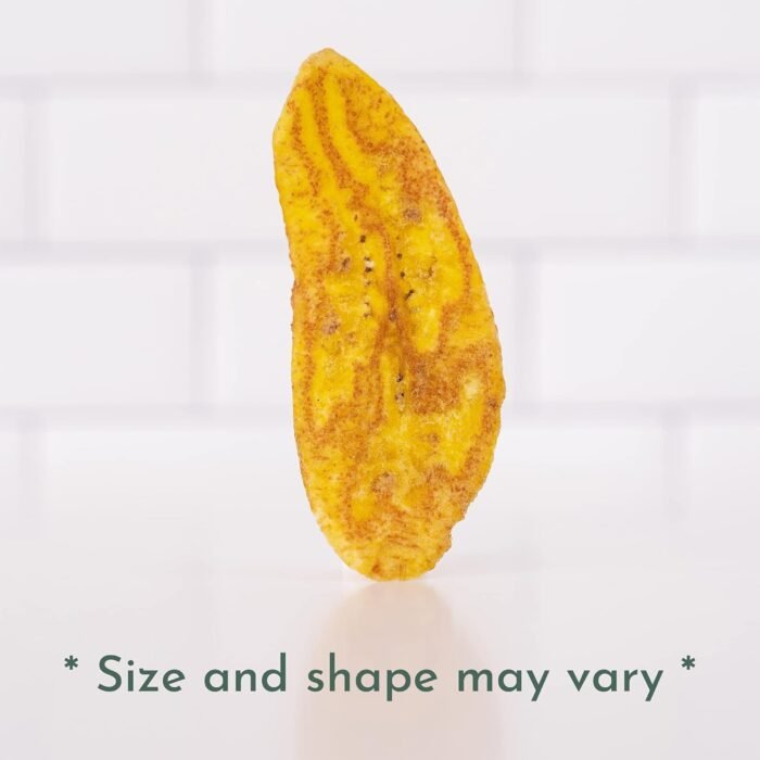 artisan tropic plantain strips sea salt pack