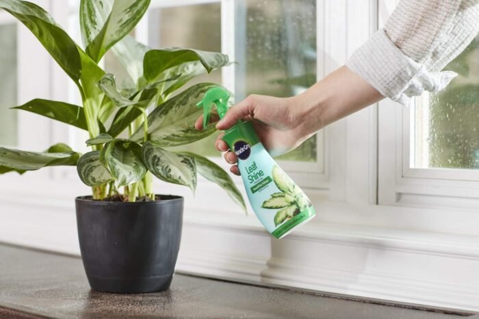 Miracle-Gro Leaf Shine, Green