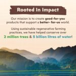 big tree frams organic brown coconut sugar pack