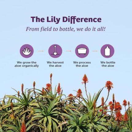 lily of the desert aloe vera gelly moisturizer image