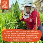 Lotus Foods Organic Millet & Brown Rice Ramen