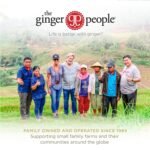 the ginger people organic ginger juice