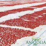 pure anatolia organic sun dried tomatoes pack