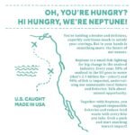 neptune fish jerky sweet citrus ginger