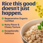 lundberg short grain brown rice organic pack image