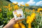 fruit bliss organic dried apricots fruit snacks pack