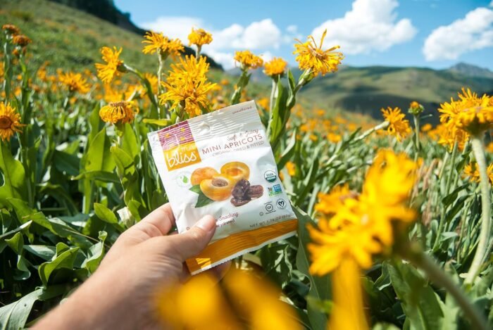fruit bliss organic dried apricots fruit snacks pack