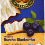natures path toaster pastries blueberry frosted pack