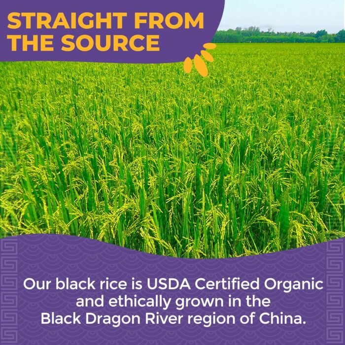 lotus foods black rice 15 oz bag