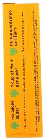 yoyo break 100% fruit rolls mango pack