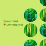 everyone spearmint & lemongrass hand soap image