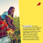 nandos hot perinaise tangy & spicy mayo image