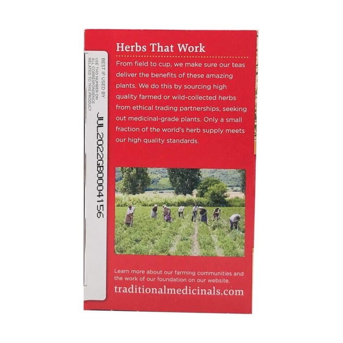 traditional medicinals elderflower spice tea pack