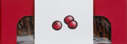 lesley stowe crisps hazelnut cranberry pack