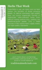 traditional medicinals organic green tea with toasted rice pack