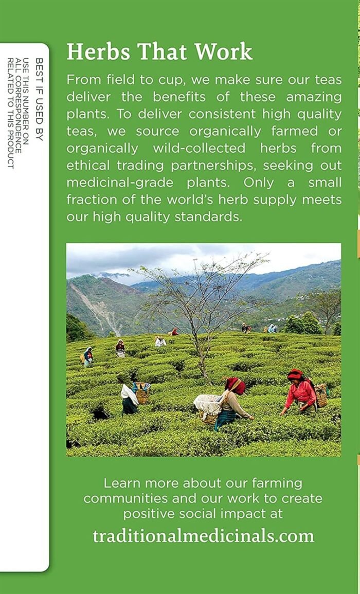 traditional medicinals organic green tea with toasted rice pack