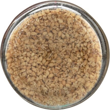 eden foods salt gomasio sesame seed org