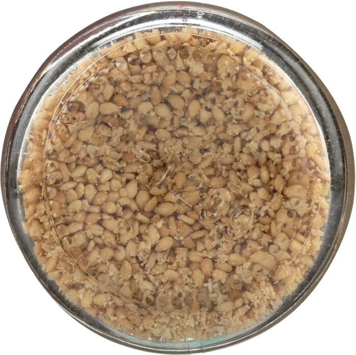 eden foods salt gomasio sesame seed org