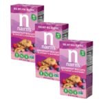 nairns blueberry and raspberry breakfast biscuits pack