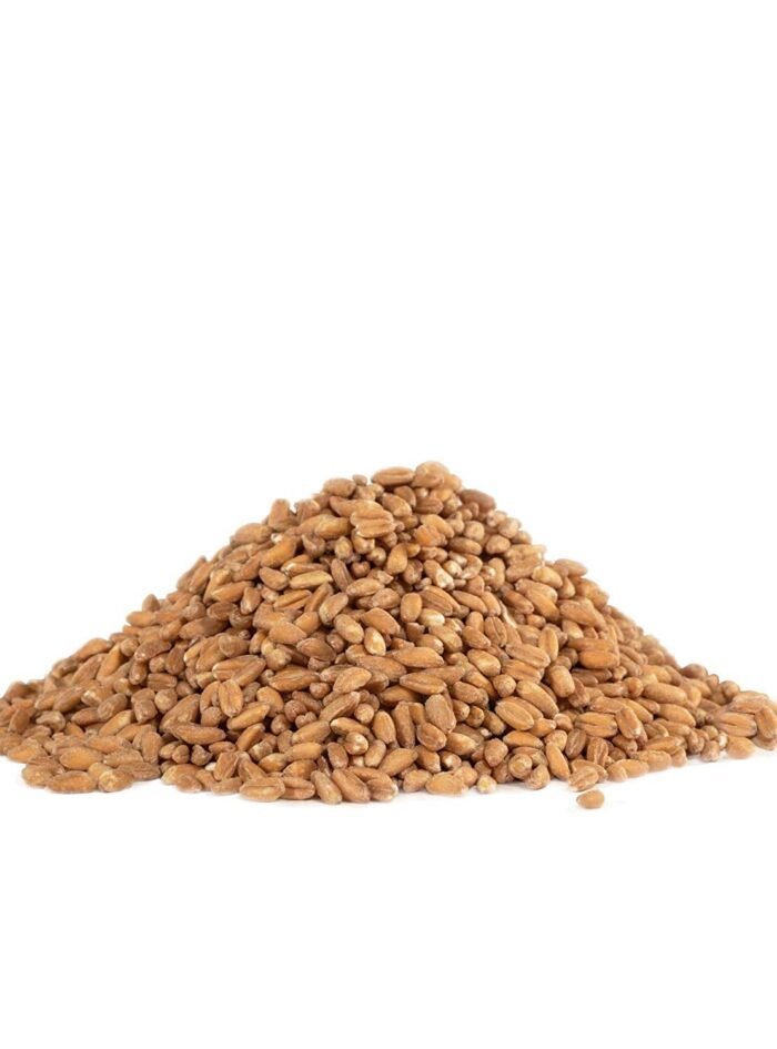 bobs red mill organic farro grain pack