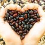 beanitos white bean chips hint of lime pack