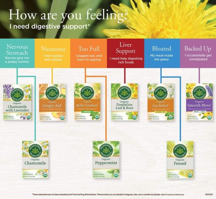traditional medicinals organic ginger aid tea pack