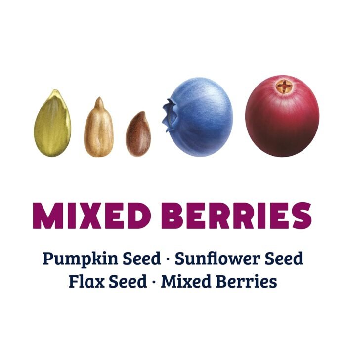 ozery bakery super seed mixed berries pack