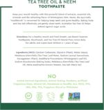 desert essence tea tree & neem toothpaste